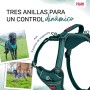 Dog Harness Company of Animals Turquoise XS 20-32 cm | Tienda24 - Global Online Shop Tienda24.eu