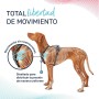 Arnês para Cães Company of Animals Turquesa XS 20-32 cm | Tienda24 - Global Online Shop Tienda24.eu