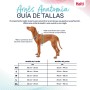 Arnês para Cães Company of Animals Turquesa XS 20-32 cm | Tienda24 - Global Online Shop Tienda24.eu