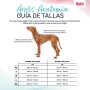 Arnês para Cães Company of Animals Verde XS 20-32 cm | Tienda24 - Global Online Shop Tienda24.eu