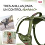 Arnês para Cães Company of Animals Verde XS 20-32 cm | Tienda24 - Global Online Shop Tienda24.eu