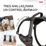 Dog Harness Company of Animals Grey XS 20-32 cm | Tienda24 - Global Online Shop Tienda24.eu