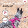 Dog Harness Company of Animals Burgundy XS 20-32 cm | Tienda24 - Global Online Shop Tienda24.eu