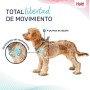 Arnês para Cães Company of Animals Cinzento XXS 22-30 cm | Tienda24 - Global Online Shop Tienda24.eu