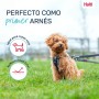 Arnês para Cães Company of Animals Cinzento XXS 22-30 cm | Tienda24 - Global Online Shop Tienda24.eu