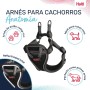 Dog Harness Company of Animals Grey XXS 22-30 cm | Tienda24 - Global Online Shop Tienda24.eu