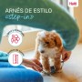 Arnês para Cães Company of Animals Cinzento XXS 22-30 cm | Tienda24 - Global Online Shop Tienda24.eu