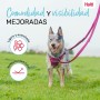 Dog Lead Company of Animals Grey S | Tienda24 - Global Online Shop Tienda24.eu