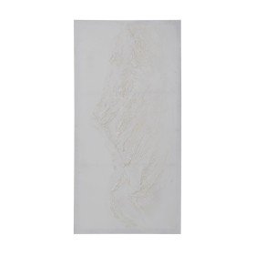 Toile DKD Home Decor Tropical Feuille d'une plante (80 x 3 x 60 cm) | Tienda24 - Global Online Shop Tienda24.eu