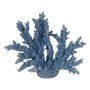 Decorative Figure Blue Coral 34 X 13 X 27 CM | Tienda24 - Global Online Shop Tienda24.eu