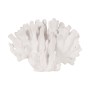 Figura Decorativa Blanco Coral | Tienda24 - Global Online Shop Tienda24.eu