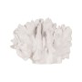 Figura Decorativa Blanco Coral | Tienda24 - Global Online Shop Tienda24.eu