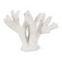 Figura Decorativa Branco Coral | Tienda24 - Global Online Shop Tienda24.eu