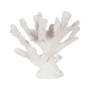 Figura Decorativa Branco Coral | Tienda24 - Global Online Shop Tienda24.eu