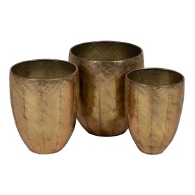 Planter Garden ID | Tienda24 - Global Online Shop Tienda24.eu