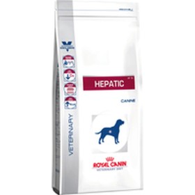 Fodder BOSCH Kid/Junior Lamb Rice 3 Kg | Tienda24 - Global Online Shop Tienda24.eu