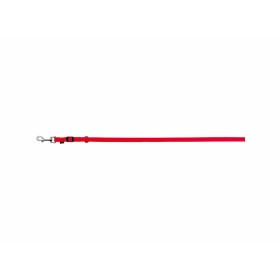 Dog Lead Red Dingo Reflective Turquoise (1,2 x 120 cm) | Tienda24 - Global Online Shop Tienda24.eu