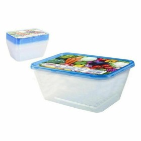 Rechteckige Lunchbox mit Deckel Quid Rico Durchsichtig Kunststoff 22 x 16 x 3,5 cm | Tienda24 - Global Online Shop Tienda24.eu