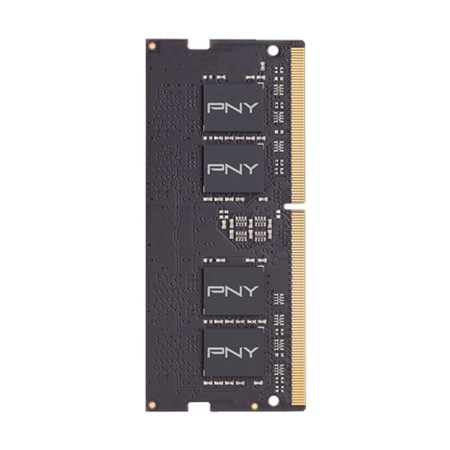 RAM Speicher PNY MN16GSD42666 16 GB DDR4 2666 Mhz CL19 16 GB DDR4 2666 MHz CL19 SODIMM | Tienda24 - Global Online Shop Tienda24.eu