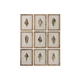 Cadre DKD Home Decor Perroquet Tropical 50 x 3 x 70 cm (2 Unités) | Tienda24 - Global Online Shop Tienda24.eu