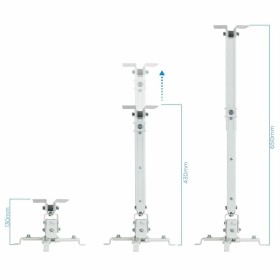 Armoire Murale Rack TooQ PJ2012T-W de TooQ, Armoires et étagères - Réf : S0231241, Prix : 17,80 €, Remise : %