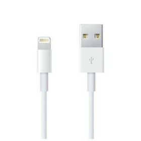 Cable USB LINDY 31292 | Tienda24 - Global Online Shop Tienda24.eu