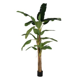 Decorative Plant Mica Decorations 11,5 x 27 x 20 cm | Tienda24 - Global Online Shop Tienda24.eu