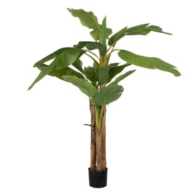 Planta Decorativa EDM 18 cm | Tienda24 - Global Online Shop Tienda24.eu