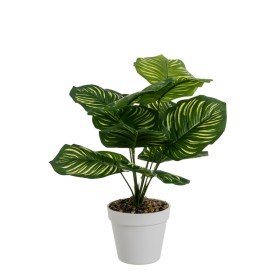 Pianta Decorativa Mica Decorations Ciondolo 81 cm Ficus | Tienda24 - Global Online Shop Tienda24.eu