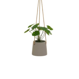 Corpetti Mica Decorations Magnolia (88 cm) | Tienda24 - Global Online Shop Tienda24.eu