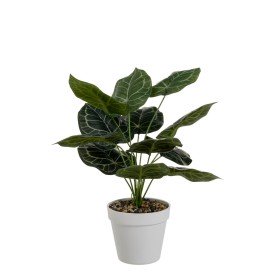 Plante décorative Lame étroite Plastique Câble de fer 80 x 150 x 105 cm | Tienda24 - Global Online Shop Tienda24.eu