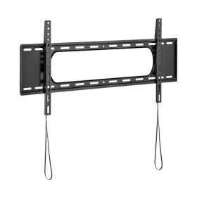 Support de TV Startech FPCEILPTBLP 50 kg 32" 75" | Tienda24 - Global Online Shop Tienda24.eu