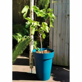 Self-watering flowerpot Plastiken  White Ø 48 cm | Tienda24 - Global Online Shop Tienda24.eu