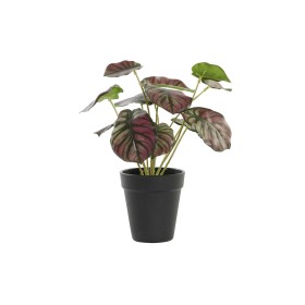 Plante décorative Vert PVC 170 cm Palmier | Tienda24 - Global Online Shop Tienda24.eu