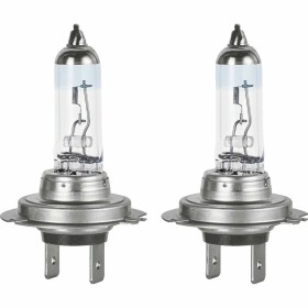 Ampoule Halogène M-Tech Z66 HIR2 9012 12V 55W PX22D Halogène 55 W 12 V | Tienda24 - Global Online Shop Tienda24.eu