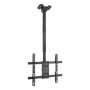 TV Ceiling Support TooQ LPCE1175TSLI-B 32" 75" 60 Kg by TooQ, TV tables and stands - Ref: S0241756, Price: 37,87 €, Discount: %