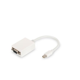 Câble DisplayPort LINDY 36484 Noir Noir/Gris 5 m | Tienda24 - Global Online Shop Tienda24.eu