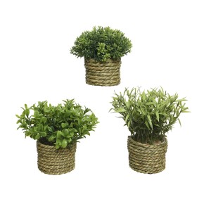 Decorative Plant Rubber polypropylene 70 x 70 x 130 cm | Tienda24 - Global Online Shop Tienda24.eu