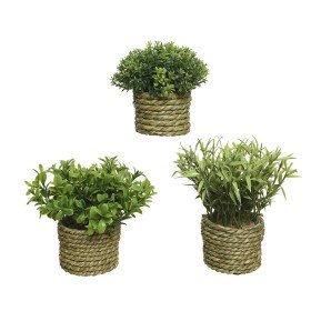 Planta Decorativa  Bol Lavanda 30 x 30 x 30 cm | Tienda24 - Global Online Shop Tienda24.eu