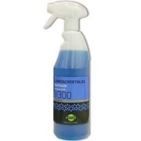 Glass cleaner Kärcher 1.633-542.0 | Tienda24 - Global Online Shop Tienda24.eu