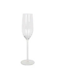 Copa de champán Chef & Sommelier Transparente Vidrio (19 cl) | Tienda24 Tienda24.eu