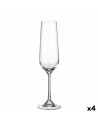 Set di Bicchieri Bohemia Crystal Sira champagne 200 ml 6 Unità 4 Unità da Bohemia Crystal, Coppe da champagne - Ref: S2227976...