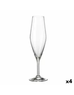 Copa de champán Chef & Sommelier Transparente Vidrio (19 cl) | Tienda24 Tienda24.eu