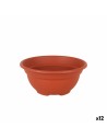 Plant pot Dem Greentime Circular Bowl Brown ø 20 x 9 cm (12 Units) | Tienda24 Tienda24.eu