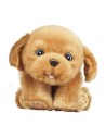 Animal de Compagnie Interactif Little Live Pets Sleepy Puppy Famosa 700013210 | Tienda24 Tienda24.eu