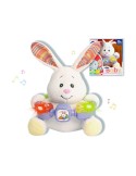 Peluche Musicale Reig Coniglio 20 cm da Reig, Giochi musicali - Ref: S2424913, Precio: 18,25 €, Descuento: %