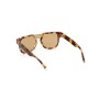 Men's Sunglasses Web Eyewear WE0315-0041F by Web Eyewear, Glasses and accessories - Ref: S0367334, Price: 36,51 €, Discount: %