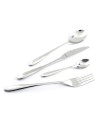 Set de Cucharas Amefa Cuba Metal 21,6 cm 12 Unidades | Tienda24 Tienda24.eu