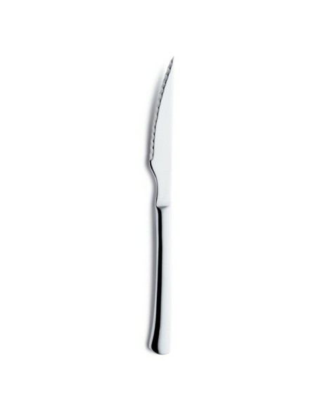 Serrated Knife Amefa Torero Metal 25 cm 12 Units | Tienda24 Tienda24.eu