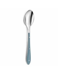 Set of Spoons Dessert Green Pink Silver Stainless steel Plastic 15,7 cm (12 Units) | Tienda24 Tienda24.eu